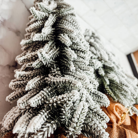 Frosted Homestead Trees