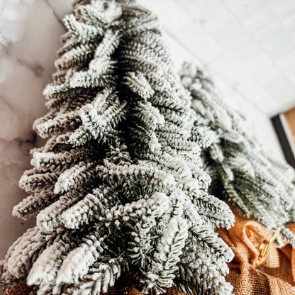 Frosted Homestead Trees